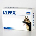 Lypex pentru caini si pisici - 60 capsule